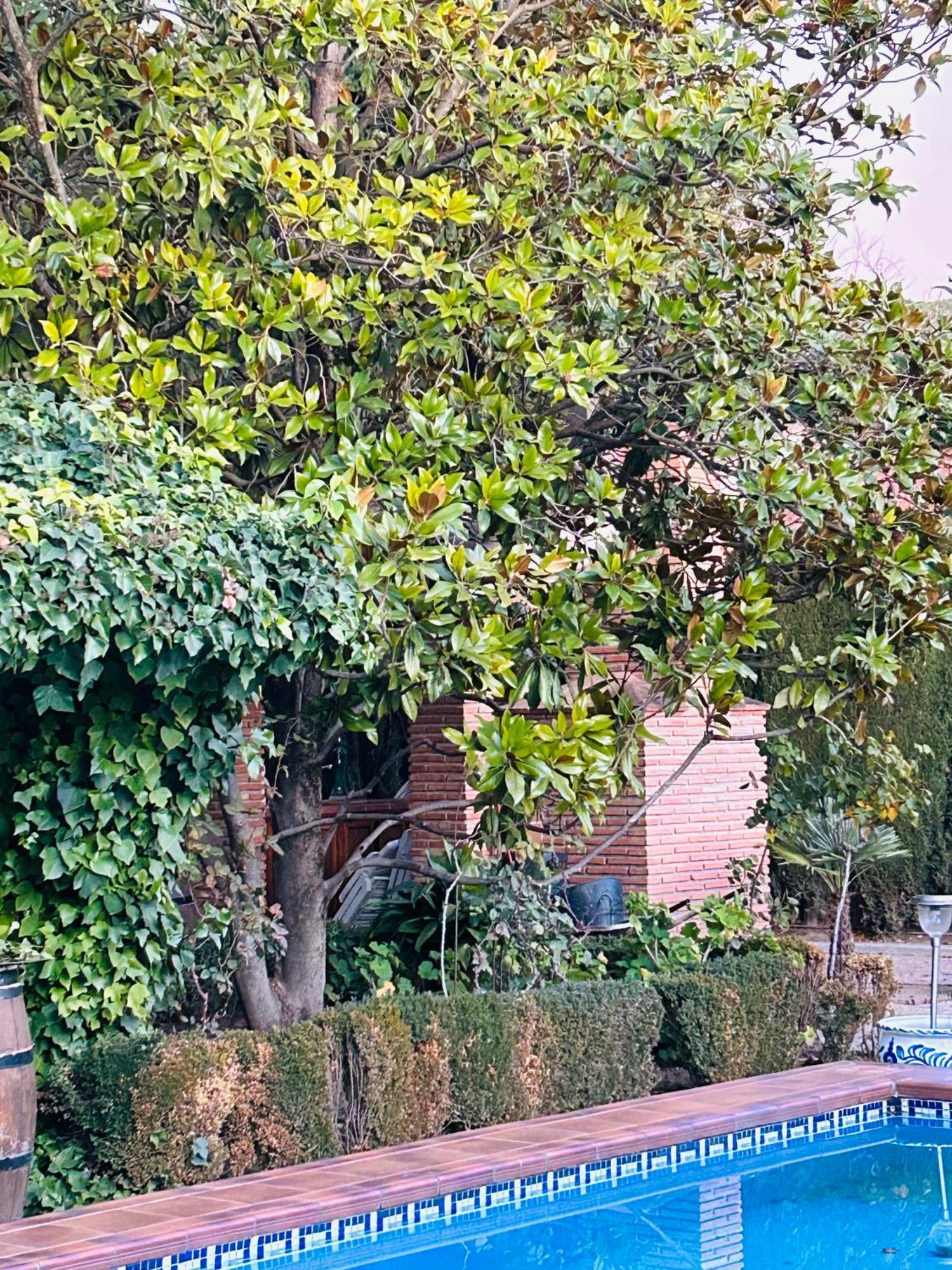 Casa Los Rosales Alfacar Eksteriør bilde