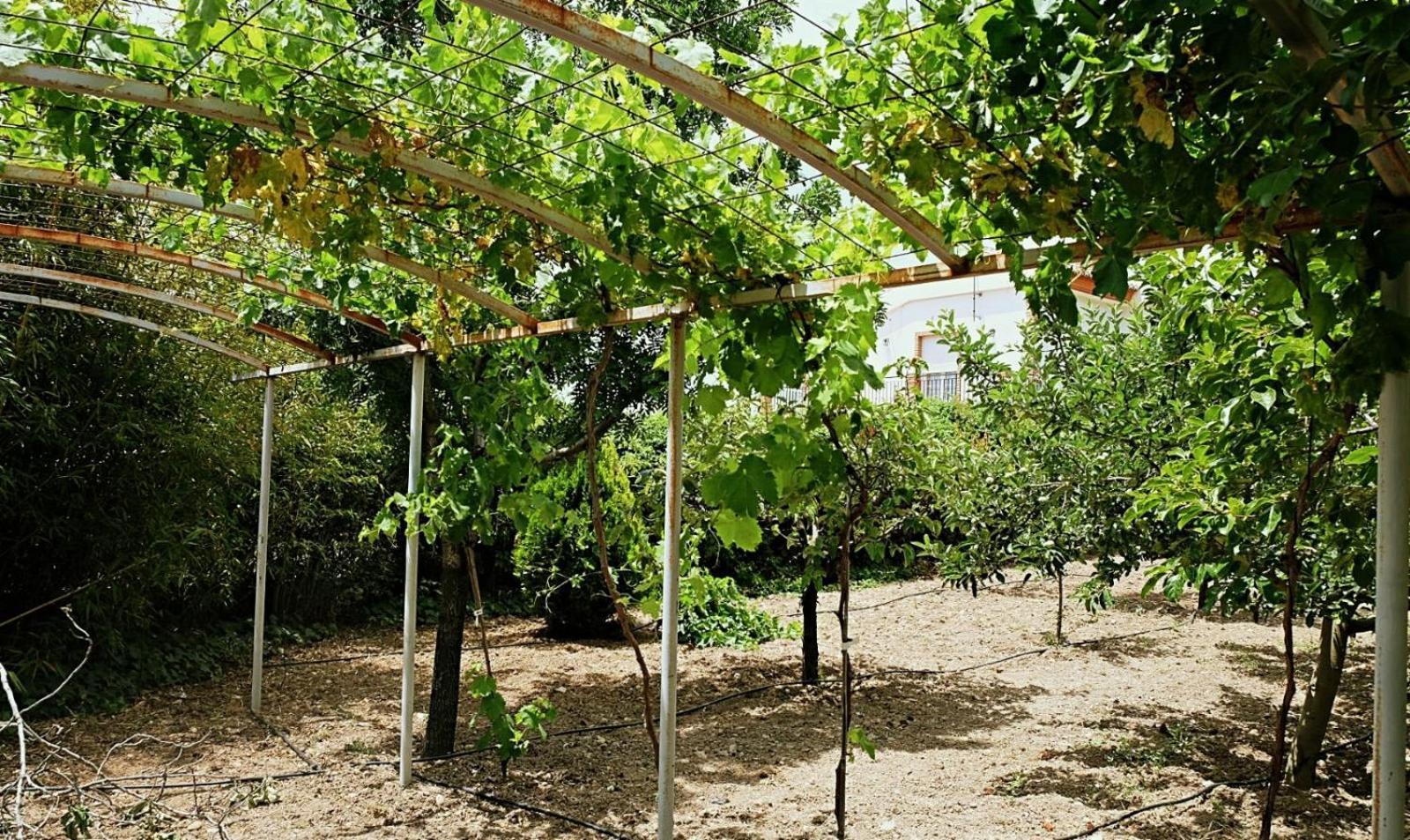 Casa Los Rosales Alfacar Eksteriør bilde