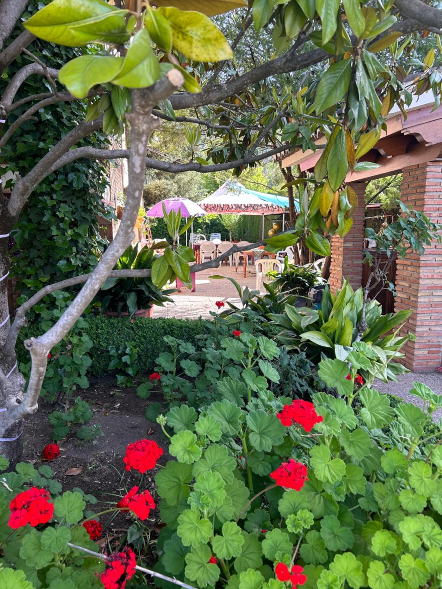 Casa Los Rosales Alfacar Eksteriør bilde