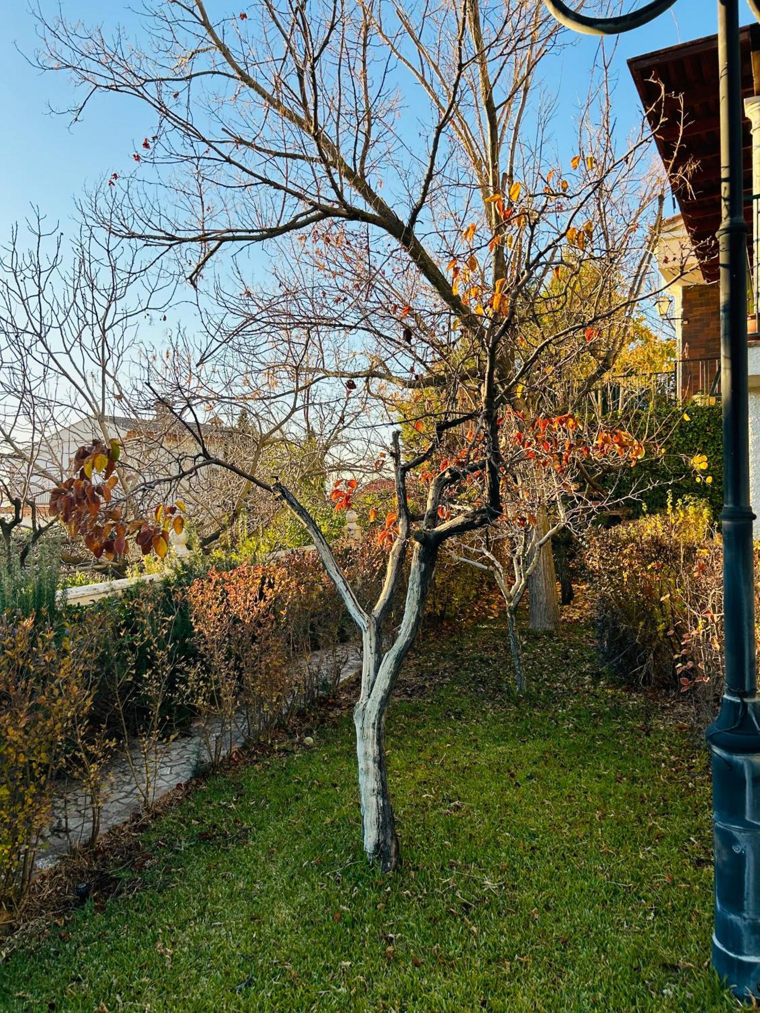 Casa Los Rosales Alfacar Eksteriør bilde